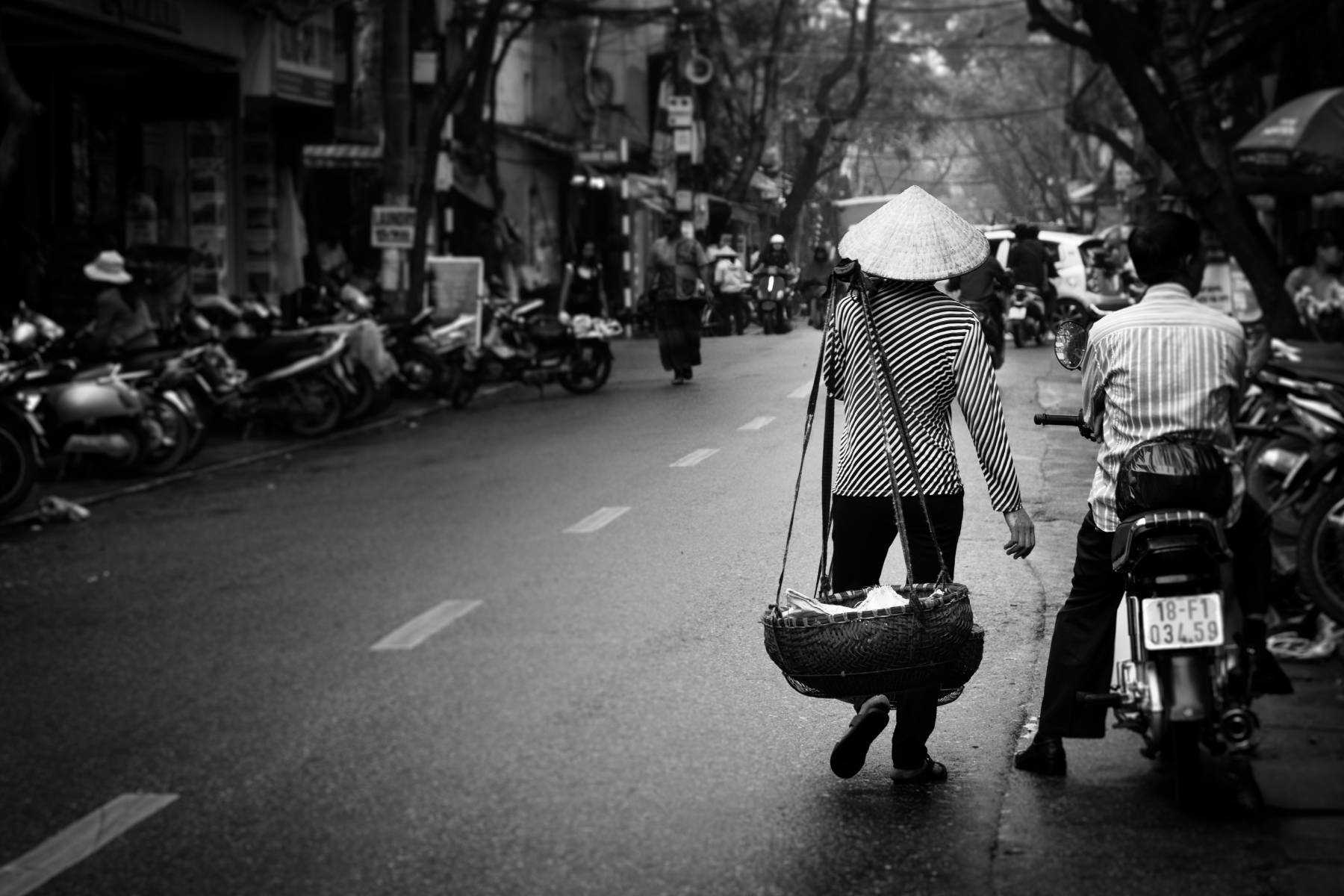 Banner image for the blog post Portfolio Update and Vietnam